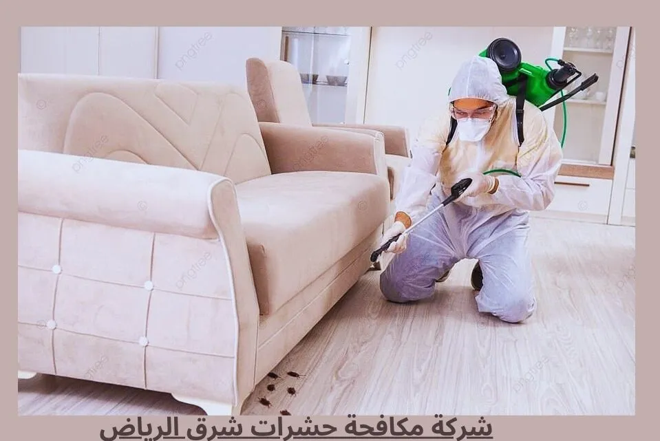 عامل من شركة مكافحة حشرات شرق الرياض يقوم برش مبيدات بالمنزل وتحت الاريكة لمكافحة الحشرات ويوجد بعض حشرات ملقاه علي الارض