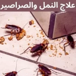 علاج النمل والصراصير بالصورة مجموعة من الصراصير مجتمعة علي بقايا الطعام